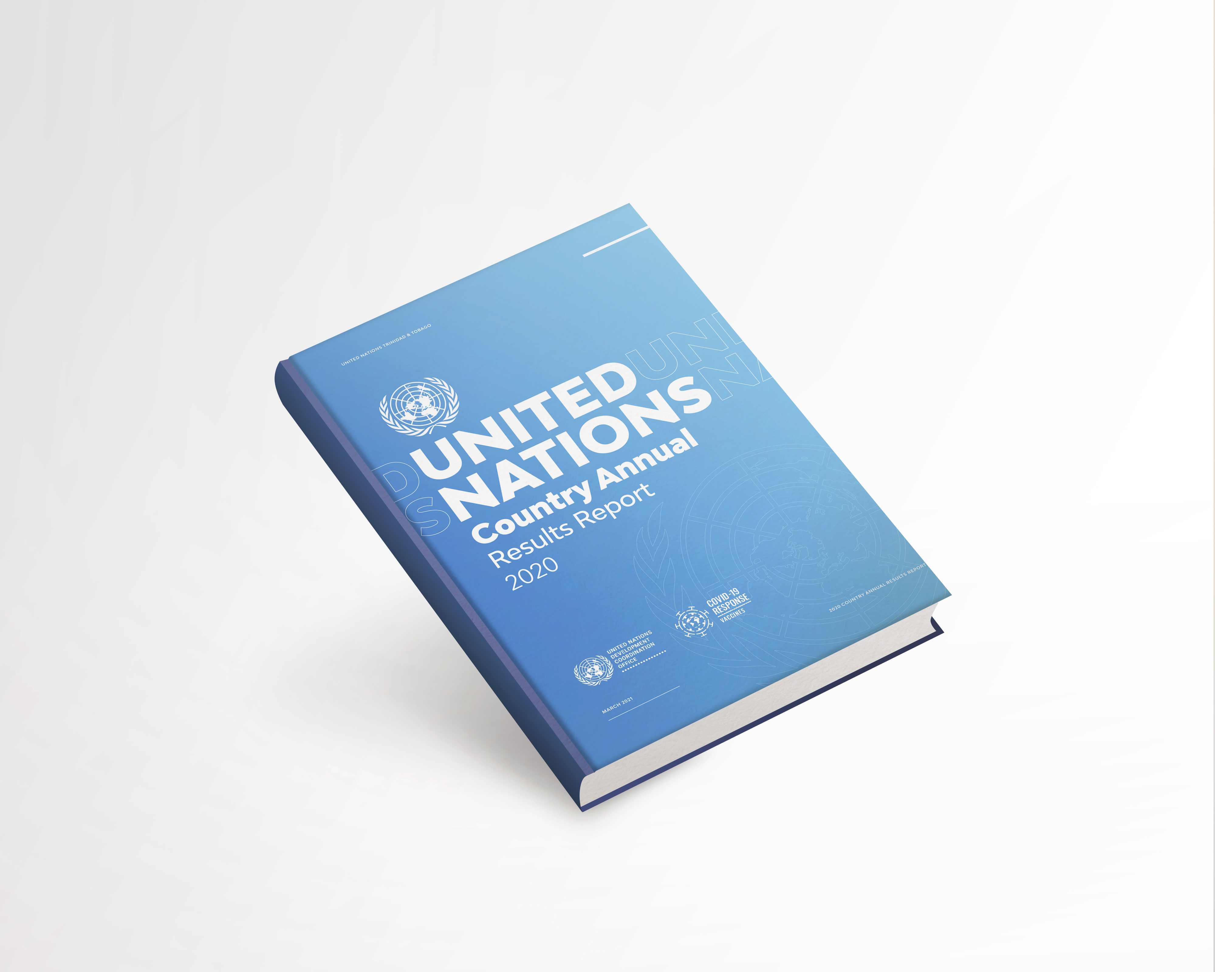 One UN Results Report 2020