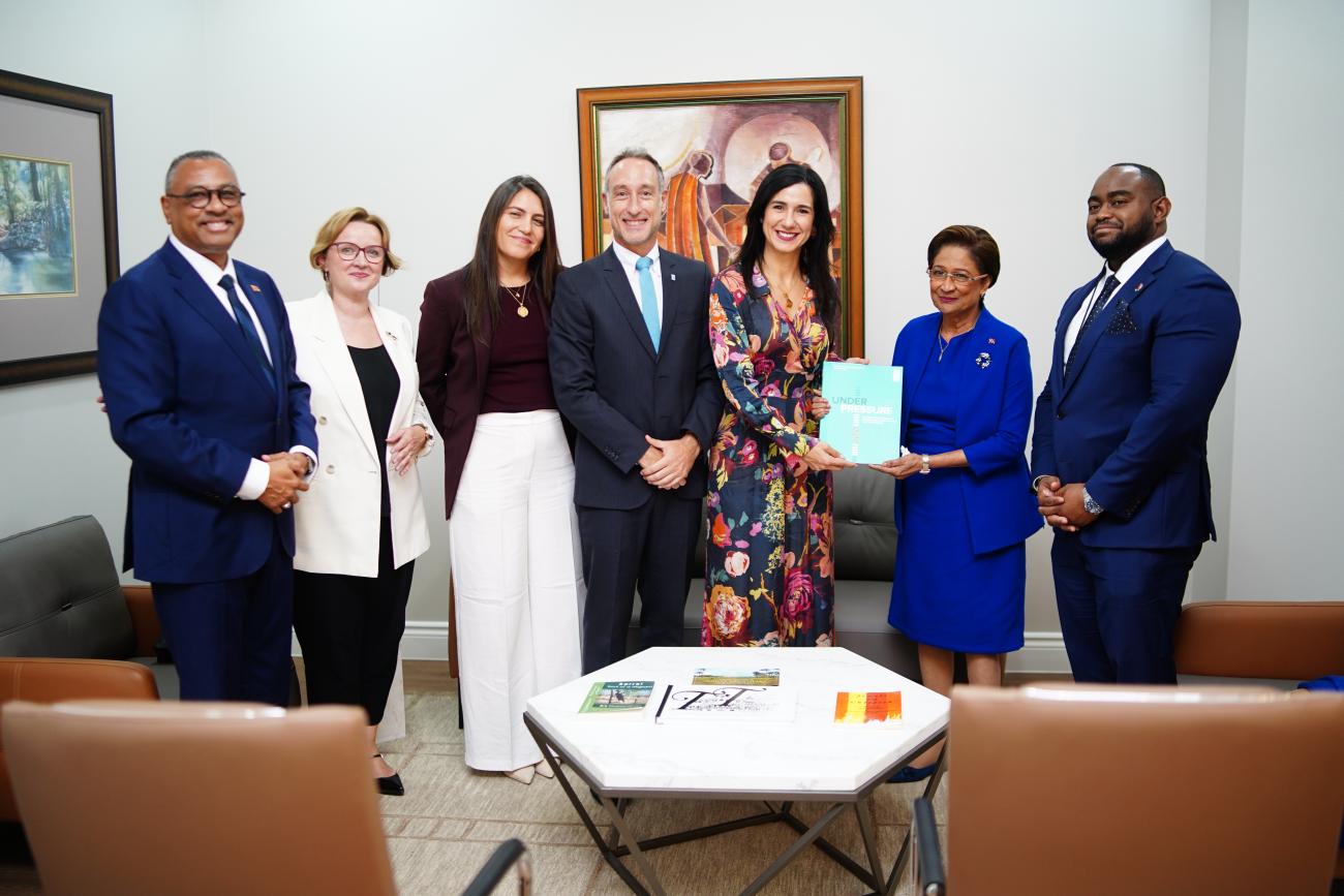 Government Ministers, the Prime Minister, UN and UNDP heads pose for a photo