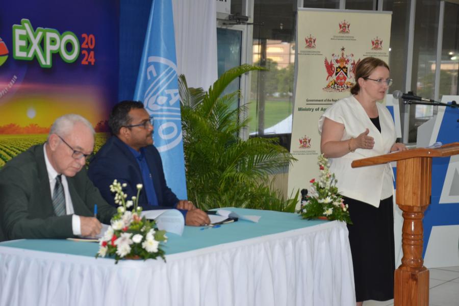 UN Resident Coordinator Joanna Kazana delivers remarks