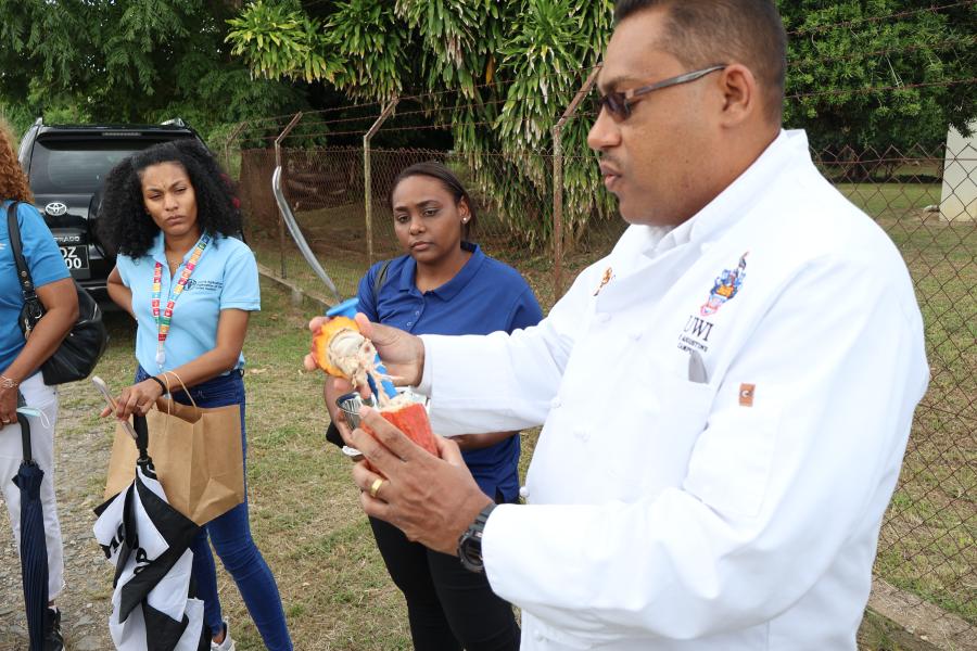 A staff member at the UWI Cocoa Research Centre displays the pulp of the cocoa pod for staff members of FAO Trinidad and Tobago.